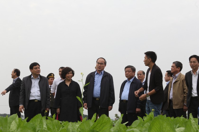 Chủ tịch Nguyễn Thiện Nhân thăm trang trại rau sạch FVF