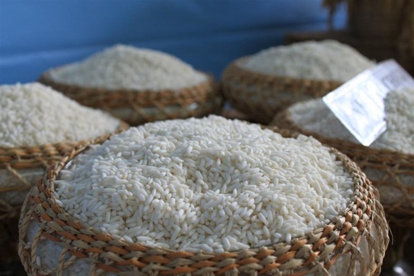 Bãi bỏ hàng loạt quy định khống chế xuất khẩu gạo