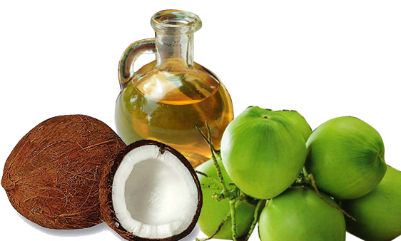 Nước dừa dùng trong phối hợp trị liệu cùng với lá trầu có vai trò như một chất hòa tan, giúp chiết xuất hoạt chất trong lá trầu ra một cách nhanh chóng.