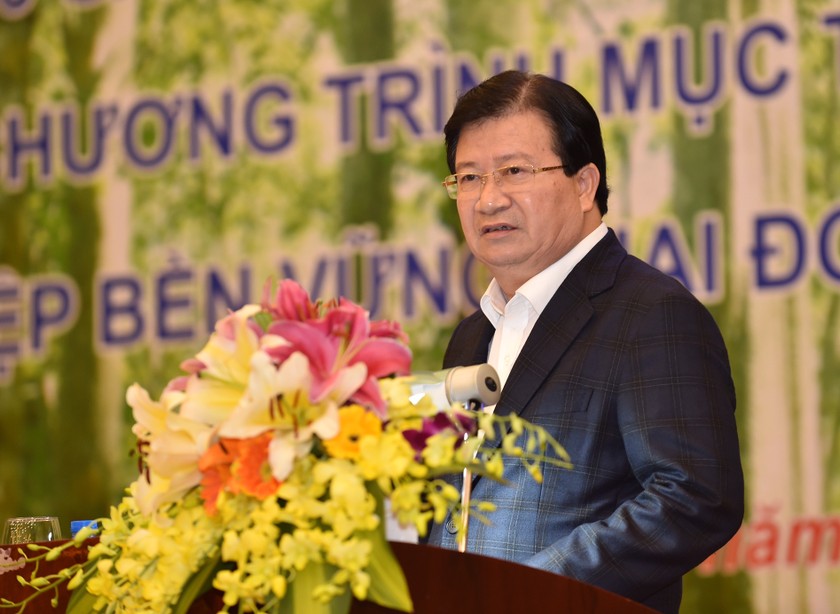 Phó Thủ tướng Trịnh Đình Dũng phát biểu kết luận Hội nghị