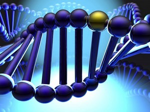 3 đối tượng phải đăng ký cấp Giấy phép tiếp cận nguồn gen