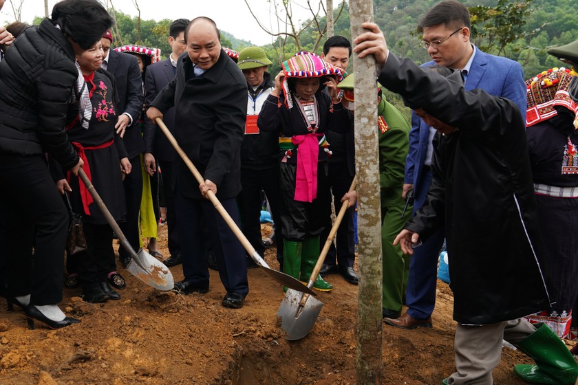 Thủ tướng dự lễ hưởng ứng “Tết trồng cây đời đời nhớ ơn Bác Hồ”