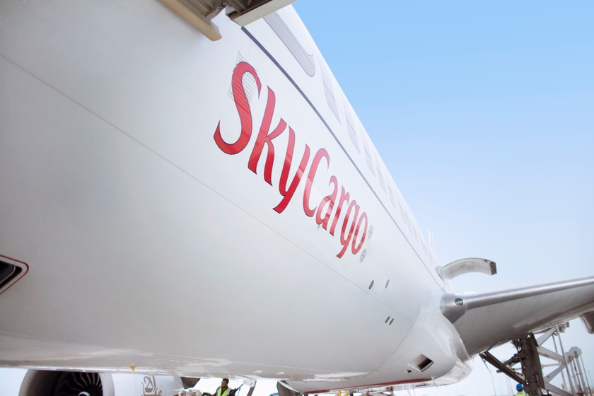Đội bay của Emirates SkyCargogồm 11 máy bay hoạt động hết công suất phục vụ bay theo lịch trình, bay đặc biệt và bay thuê chuyến trên khắp sáu châu lục  