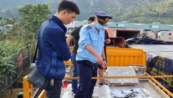 Lực lượng chức năng kiểm tra một xe cá tầm Trung Quốc thông quan qua cửa khẩu Hữu Nghị (Lạng Sơn). Ảnh: Q.L.  