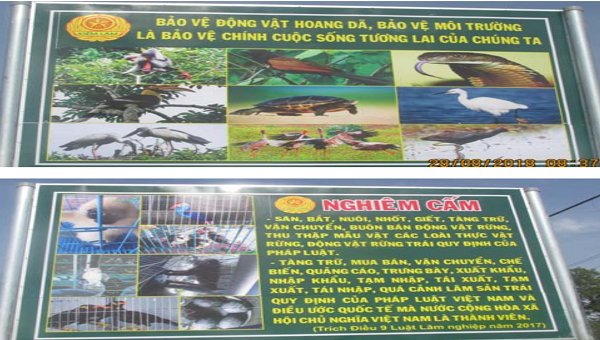 Nam Định tăng cường bảo vệ động, thực vật hoang dã