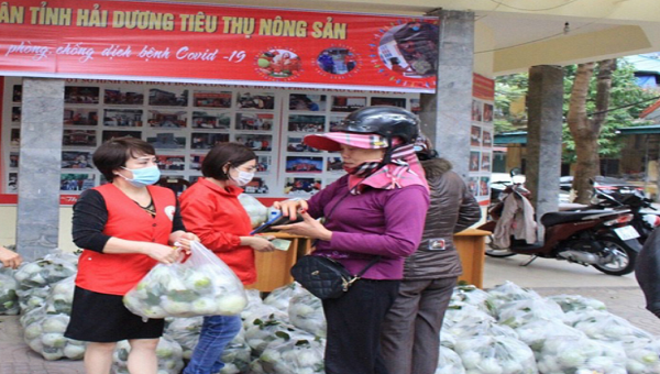 Điểm tiêu thụ ổi tại Trụ sở Hội Chữ thập đỏ tỉnh Ninh Bình.