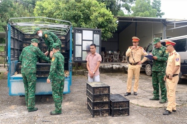 Người, phương tiện và tang vật bị lực lượng BĐBP Quảng Ninh bắt giữ.