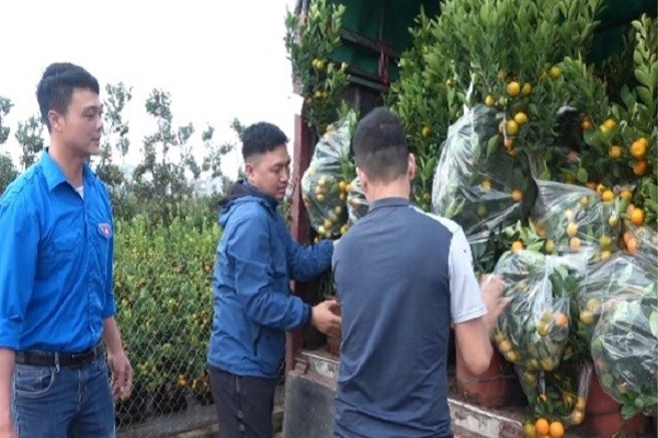 Các đoàn viên thanh niên và nhân dân trong huyện Văn Giang tổ chức bọc bầu, bao cây và vận chuyển ra ga Hà Nội để tiếp tục vận chuyển ra đảo Trường Sa và nhà giàn DK1.