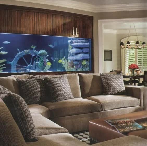 Không nên đặt bể cá ở phía sau sofa. Ảnh minh họa