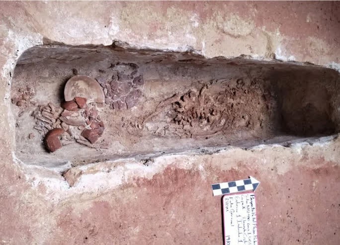 Ngôi mộ cổ được phát hiện ngoại ô thành phố cổ Palenque (Ảnh: INAH) 