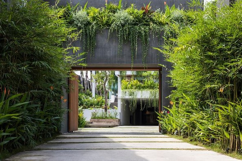  Ngôi nhà như resort với không gian xanh bao quanh (Ảnh: MM architects / Mimya)