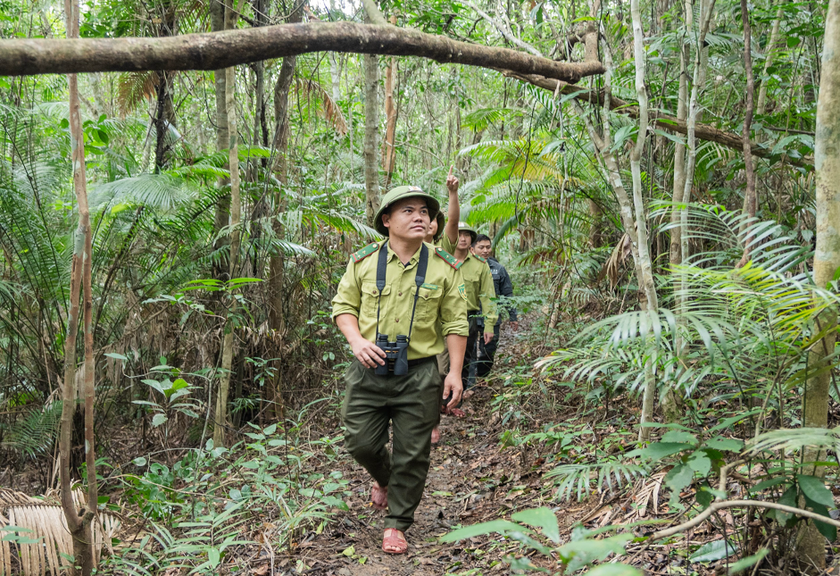 Phối hợp tuần tra bảo vệ rừng tại VQG Vũ Quang