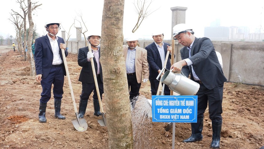 Tổng Giám đốc BHXH Việt Nam Nguyễn Thế Mạnh cùng các Phó Tổng Giám đốc và lãnh đạo các đơn vị tham gia trồng cây.
