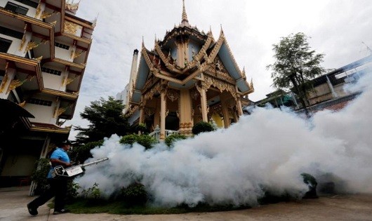Kiểm soát sự lây lan của muỗi tại một ngôi chùa ở Bangkok, Thái Lan.  