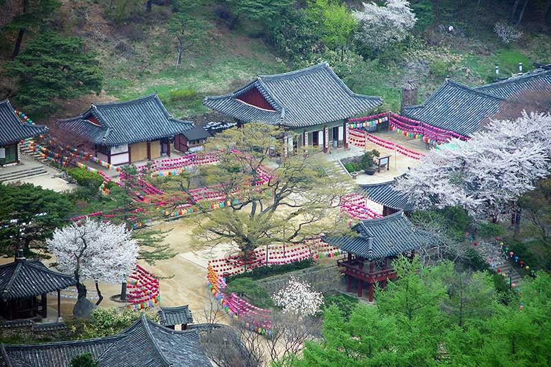 Incheon – Điểm đến của những tâm hồn yêu phong cảnh Hàn Quốc 