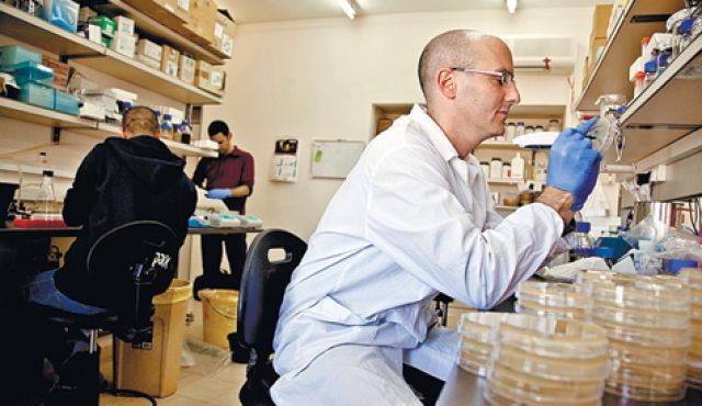 Các nhà khoa học Israel đã phát hiện ra protein diệt khuẩn có thể thay thế kháng sinh. Ảnh: haaretz.com