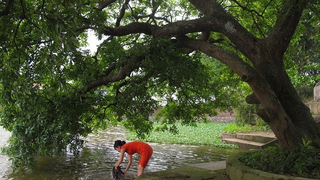 Cấn Hạ có nhiều bến nước sạch đẹp với những cây lộc vừng hàng trăm năm tuổi.