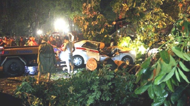 Hiện trường vụ cây xanh đổ đè nát taxi khiến lái xe thiệt mạng tối 4/6.