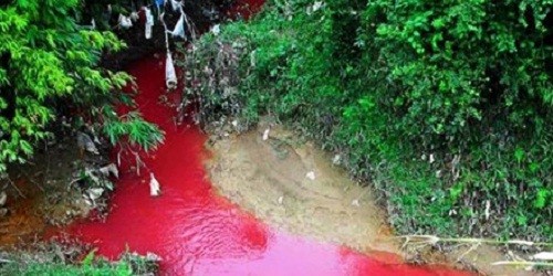 Dòng suối chuyển màu đỏ bất thường như màu máu, khiến người dân kinh hãi.