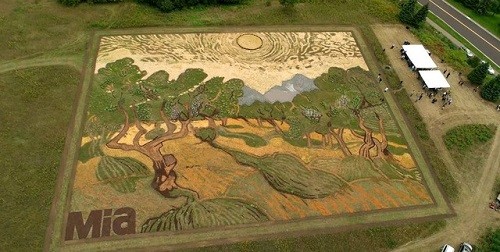 Phát hiện tranh Van Gogh trên cả một cánh đồng