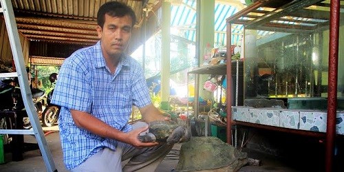 Anh Tuấn bên chú rùa có hình dáng kỳ lạ, giúp thay đổi vận mệnh của mình.