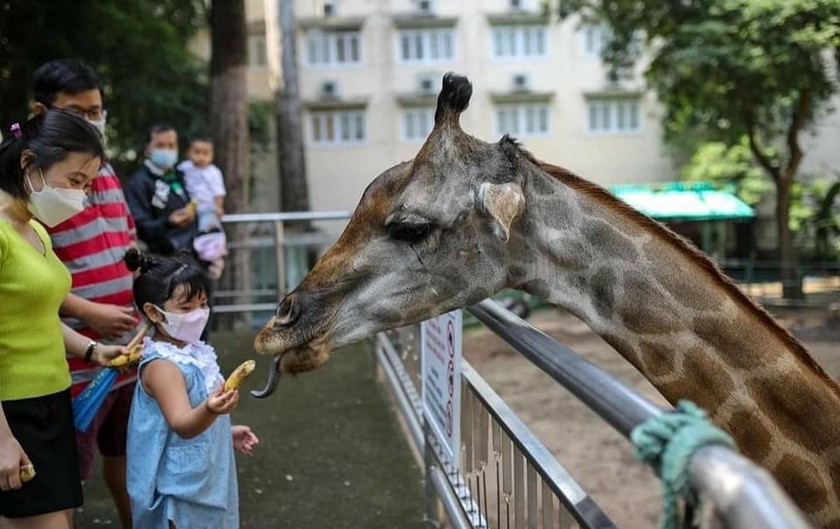 Du khách đến tham quan Thảo Cầm viên Sài Gòn, một trong 8 vườn thú cổ nhất thế giới (Ảnh TCVSG)
