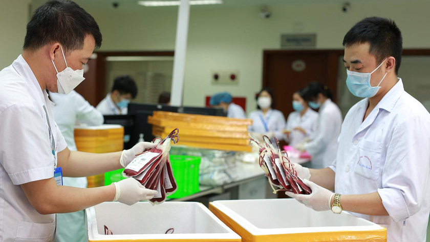 Nhân viên của Viện Huyết học – Truyền máu TW chuẩn bị 1.000 đơn vị máu để sẵn sàng chuyển cho Cần Thơ. Ảnh: BVCC