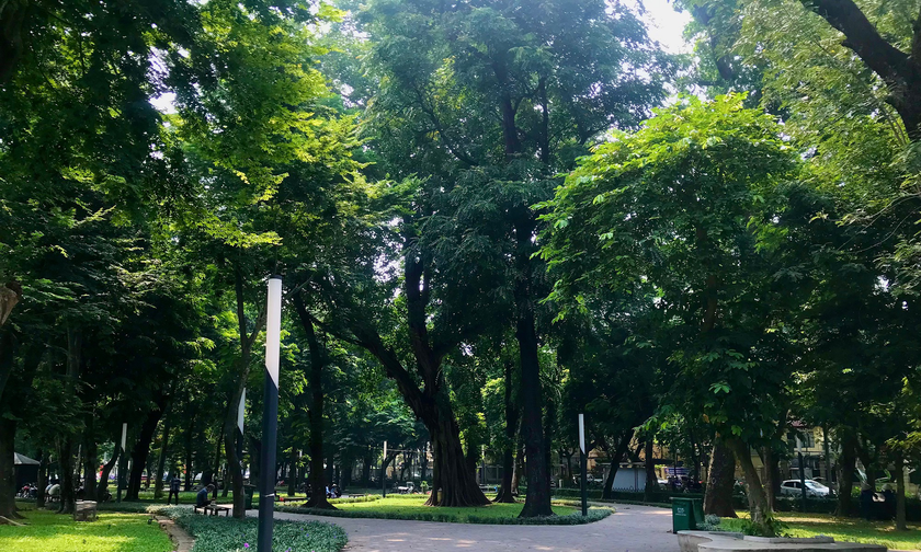 Hàng cây bao quanh Công viên Lê Nin. Ảnh: Dân Việt