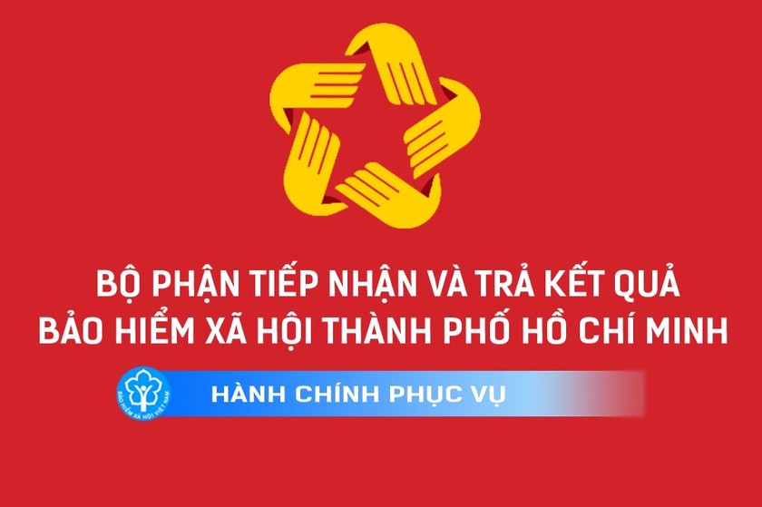 BHXH Việt Nam: Hướng dẫn về việc sử dụng bộ nhận diện thương hiệu của Bộ phận Một cửa