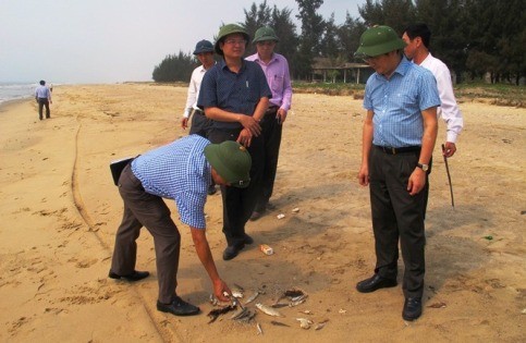 Ông Trần Tiến Dũng - Phó chủ tịch UBND tỉnh Quảng Bình (người đứng đội mũ, bên phải) kiểm tra tình hình cá chết. Ảnh: Xuân Phú.
