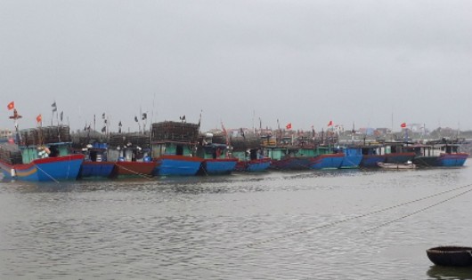 Tàu thuyền của ngư dân vào neo đậu trên sông Nhật Lệ, TP. Đồng Hới (Quảng Bình).