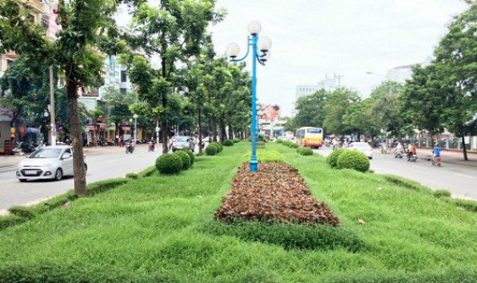 UBND TP Hà Nội đang chỉ đạo các cơ quan chức năng làm rõ nguyên nhân xảy ra cháy cây cảnh, thảm cỏ trên một số vườn hoa, dải phân cách trên địa bàn Thành phố. 