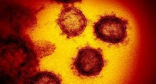 Nga tìm ra phương pháp tiêu diệt virus corona?