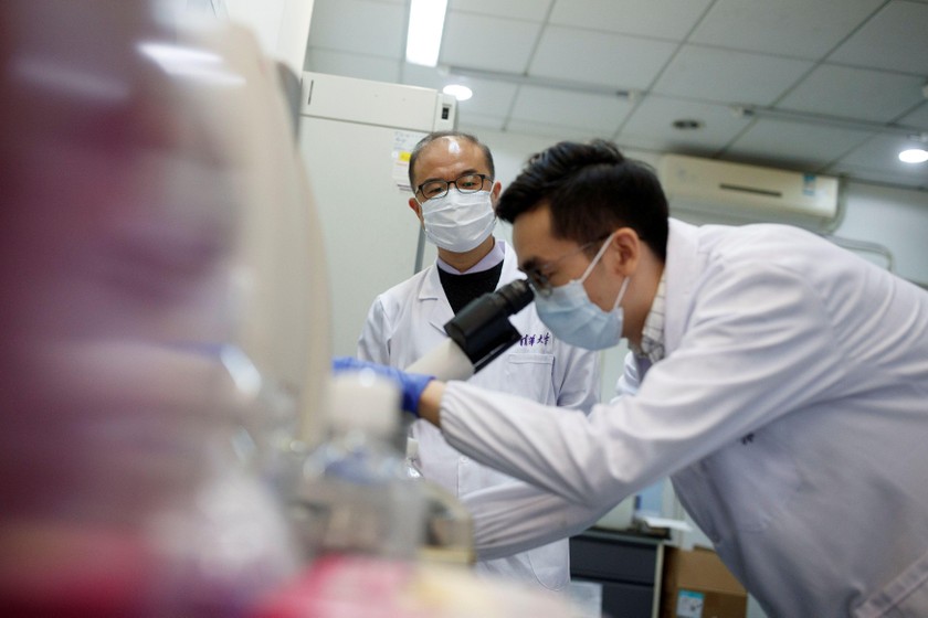 Các nhà khoa học Trung Quốc tìm thấy kháng thể "hiệu quả" cho phương pháp điều trị COVID-19.