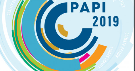 PAPI 2019 ghi nhận những tiến bộ rất đáng khích lệ trong quản trị điều hành và hành chính công. 