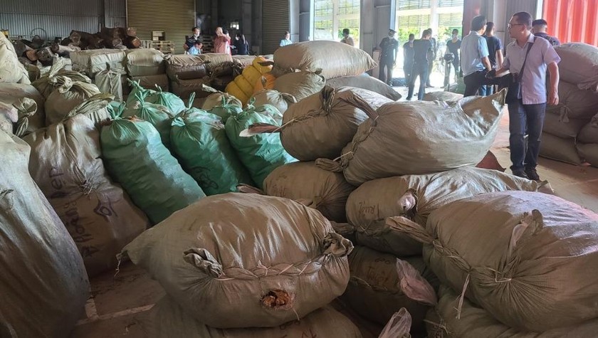 100 tấn dược liệu “đội lốt” hàng nông sản nhập về qua Cảng Đà Nẵng vừa bị bắt giữ.