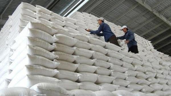 Bộ Tài chính đã xuất cấp 23.000 tấn gạo cho mục đích cứu trợ, viện trợ từ ngày 01/6/2019 đến ngày 31/5/2020.