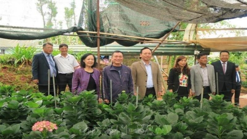 Trưởng Ban Dân vận Trung ương Trương Thị Mai cùng các đại biểu thăm mô hình sản xuất hoa công nghệ cao tại thôn Đa Quý, xã Xuân Thọ, TP Đà Lạt - Ảnh: TTXVN