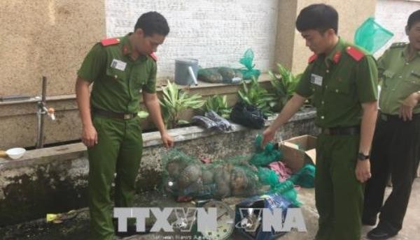 Lực lương chức năng của tỉnh Bình Dương đã bắt giữ số động vật hoang dã được giấu trên xe khách (tháng 4/2018). Ảnh: Nguyễn Văn Việt/TTXVN