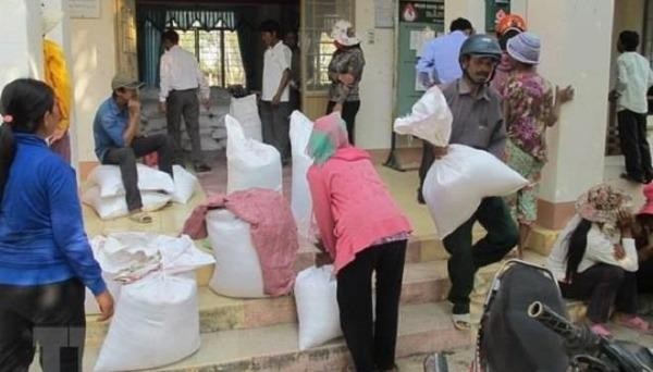 Quảng Bình, Quảng Ngãi được Chính phủ hỗ trợ hơn 3.500 tấn gạo. Ảnh: TTXVN
