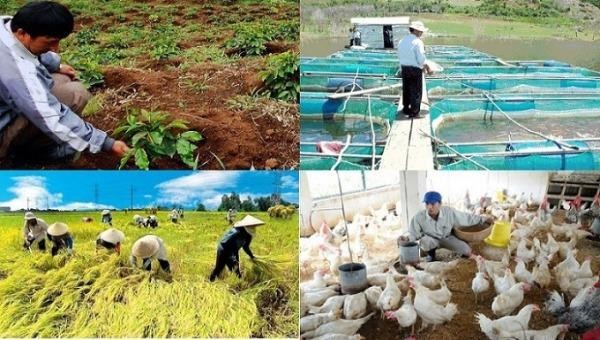 Thực hiện Đề án 61 phải nhằm mục tiêu nâng cao mức sống cho nông dân, xóa nghèo ở nông thôn, miền núi. Ảnh minh hoạ: vietnambiz