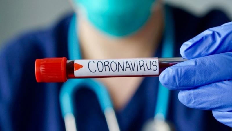 Kháng thể chống lại virus corona có thể giúp cơ thể được bảo vệ trước các bệnh nhiễm trùng trong tương lai. Ảnh: The Tribune