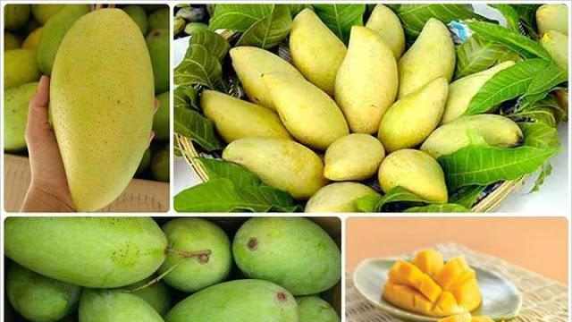 5 tháng đầu năm, xuất khẩu sang thị trường Trung Quốc 2,5 triệu tấn trái cây tươi.