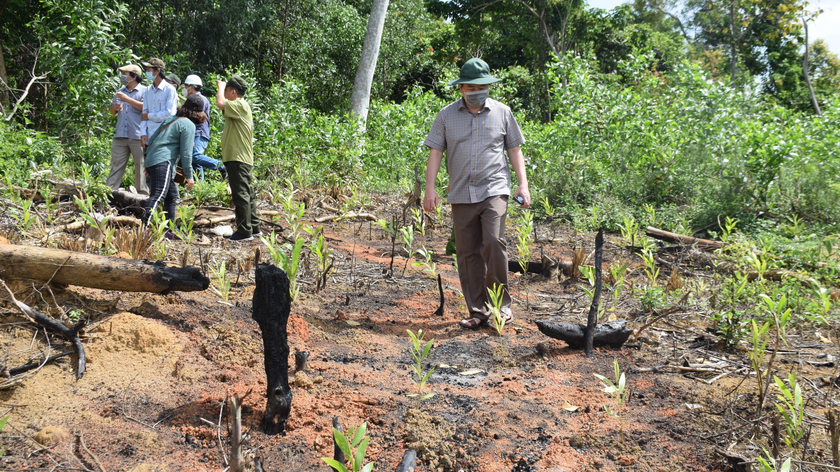 Ông Trần Hữu Thế, Chủ tịch UBND tỉnh Phú Yên kiểm tra hiện trường vụ phá rừng ở huyện Sơn Hòa