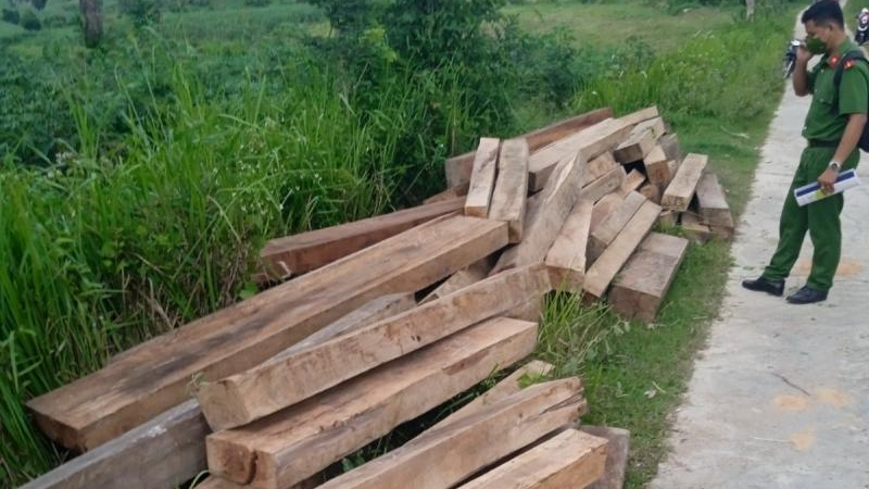 Số gỗ do ông Nguyễn Canh Tuất cất giấu đã bị thu giữ.