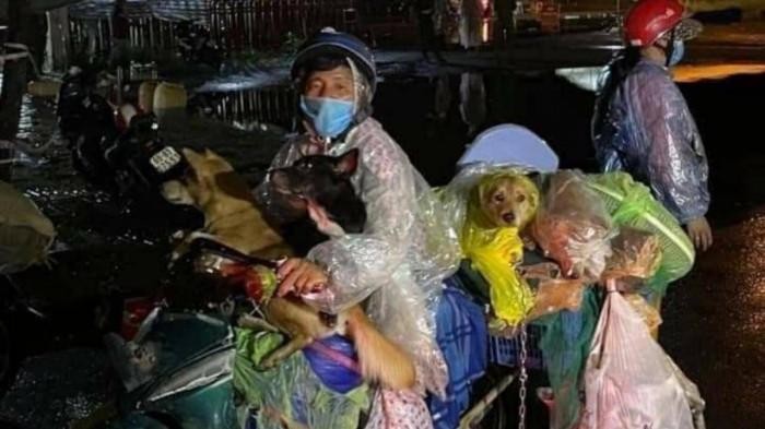 Hình ảnh người đàn ông cùng vợ chở những con chó về Cà Mau tránh dịch được lan truyền trên mạng xã hội. (Ảnh chụp màn hình) 