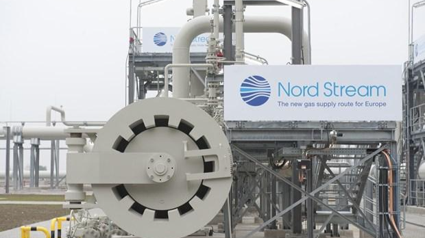 Một động cơ trong hệ thống đường ống dẫn khí Dự án Dòng chảy phương Bắc ở Lubmin, Đức. Ảnh: AFP
