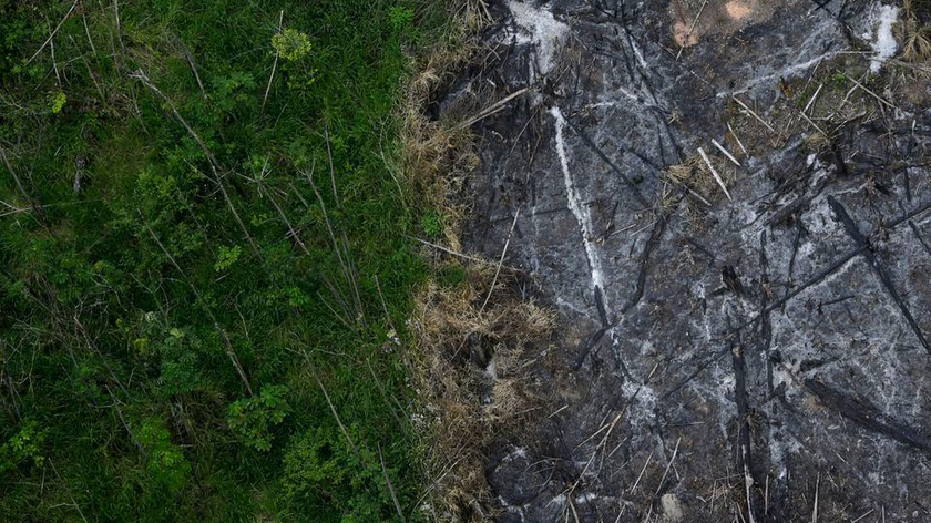 Một khu vực rừng nhiệt đới Amazon đã bị chặt phá và đốt cháy nằm cạnh một khu rừng nguyên sinh, được nhìn từ trực thăng cảnh sát trong chiến dịch "Hileia Patria" chống lại các xưởng cưa và lâm tặc buôn bán gỗ khai thác trái phép từ sông Alto Guama khu bảo tồn bản địa ở Nova Esperanca do Piria, thuộc Tiểu bang Para (Brazil). Ảnh Reuters (chụp ngày 29/9/2013)