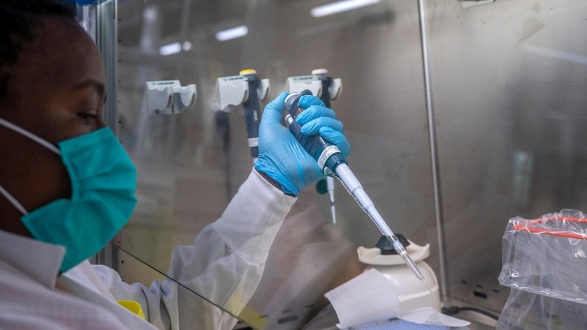 Puseletso Lesofi chuẩn bị giải trình tự các mẫu omicron COVID-19 tại Trung tâm Nghiên cứu Ndlovu ở Elandsdoorn, Nam Ph. Ảnh: AP (chụp ngày 8/12/2021)