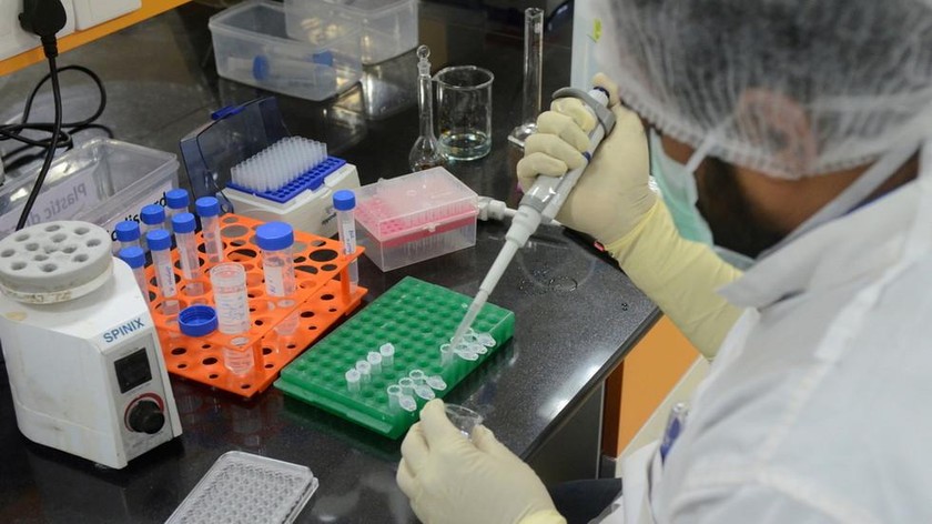 Một nhà khoa học nghiên cứu làm việc bên trong phòng thí nghiệm của Viện Huyết thanh của Ấn Độ đang nghiên cứu vaccine phòng COVID-19 ở Pune, Ấn Độ. Ảnh: Reuters